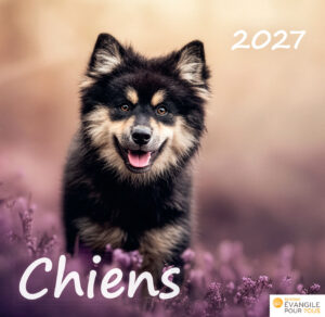Calendrier "Chiens" 2027