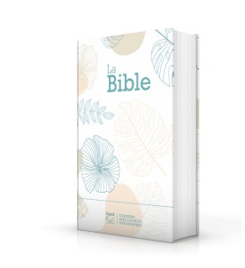 Bible S21 premium style pastel 12216