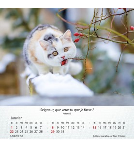 Calendrier 2023 Chats
