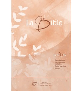 BIBLE S21 GROS CARATERES...