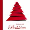 A cause de Bethléem