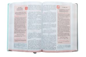 BIBLE femme à son écoute trio