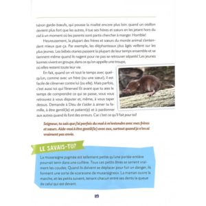 TROP BEAU ! 100 méditations sur Dieu