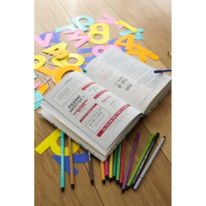 YOUTH BIBLE VERSION FRANCAISE