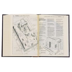 Bible Thompson La Colombe luxe