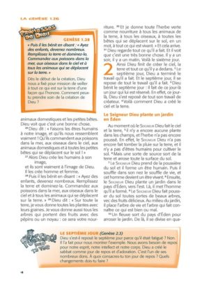 BIBLE ESPRIT ET VIE JUNIOR