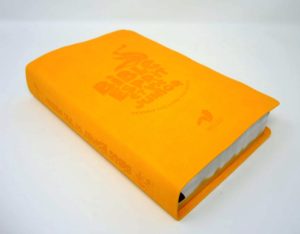 BIBLE ESPRIT ET VIE JUNIOR