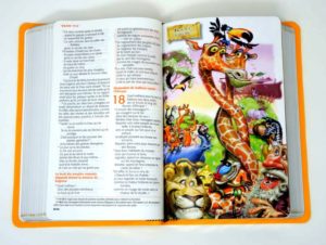 BIBLE ESPRIT ET VIE JUNIOR