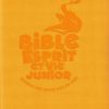 BIBLE ESPRIT ET VIE JUNIOR