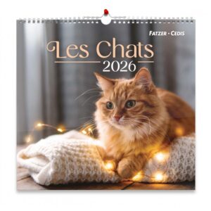 Calendrier "Nos amis les chats" grand format 2026
