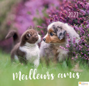 Calendrier "Meilleurs amis" 2027
