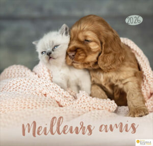 Calendrier "Meilleurs amis" 2026