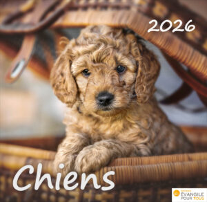 Calendrier "Chiens" 2026