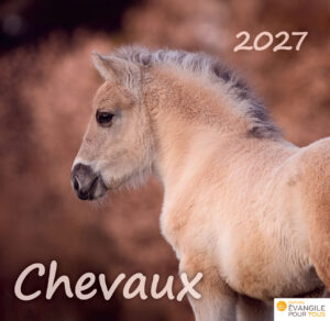 Calendrier "Chevaux" 2027